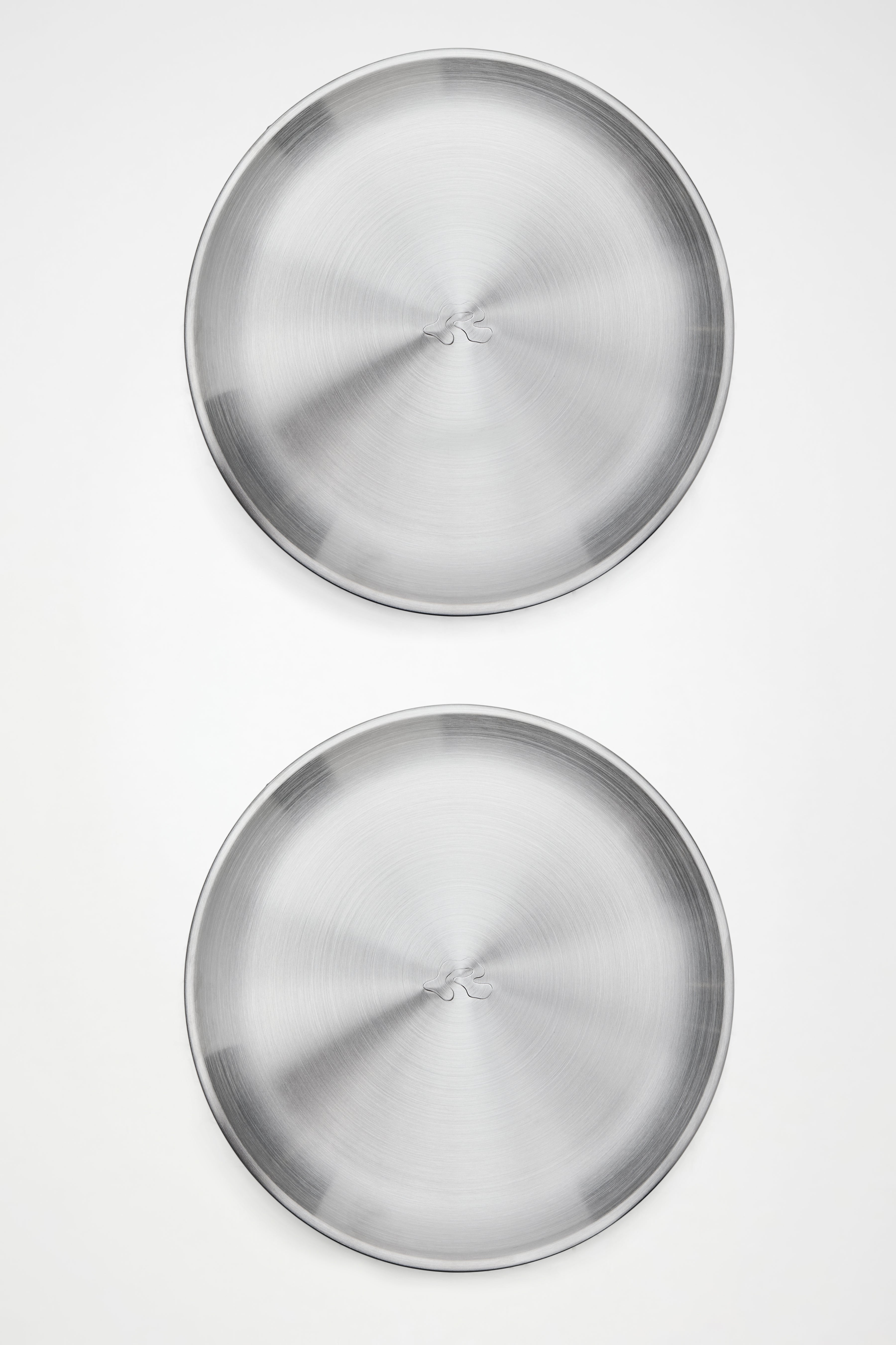 RAINS Stainless Steel 2-Pack Plates Steel